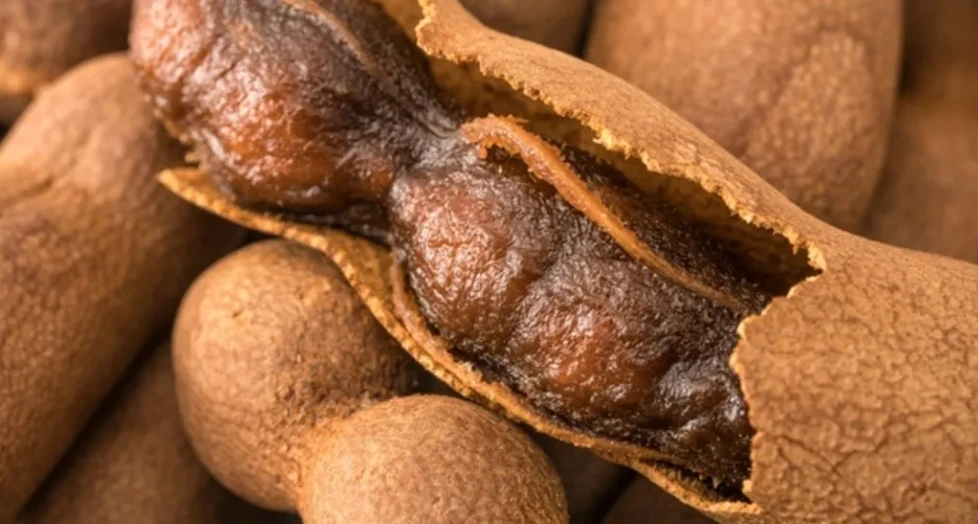 Demi̇r Hi̇ndi̇ Şerbeti̇ 3