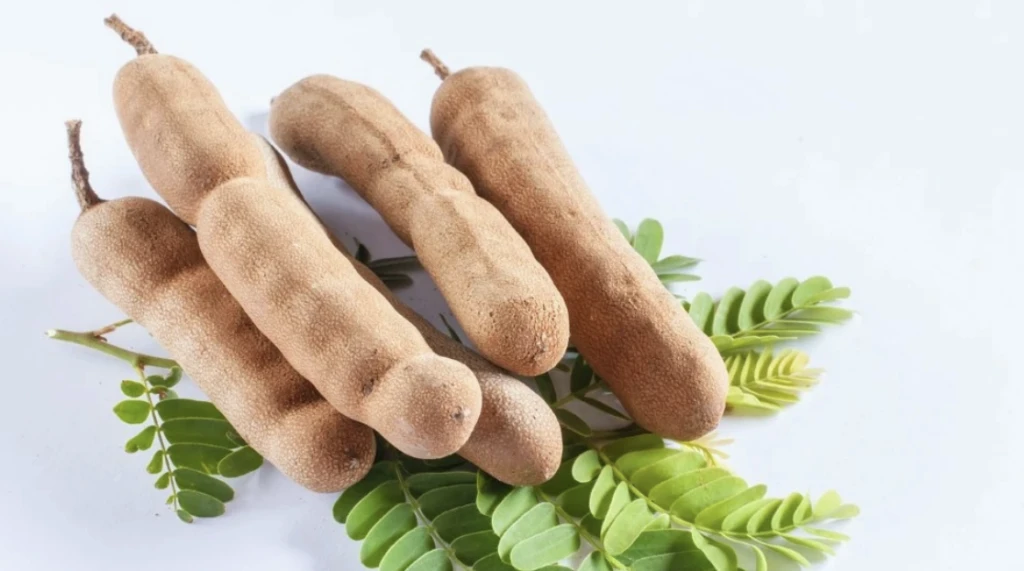 Demi̇r Hi̇ndi̇ Şerbeti̇ 6