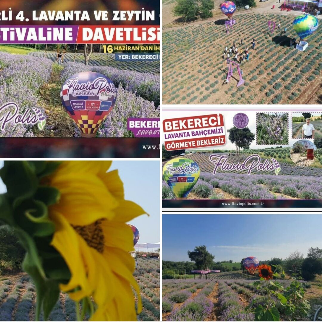 Kadirli Festival7