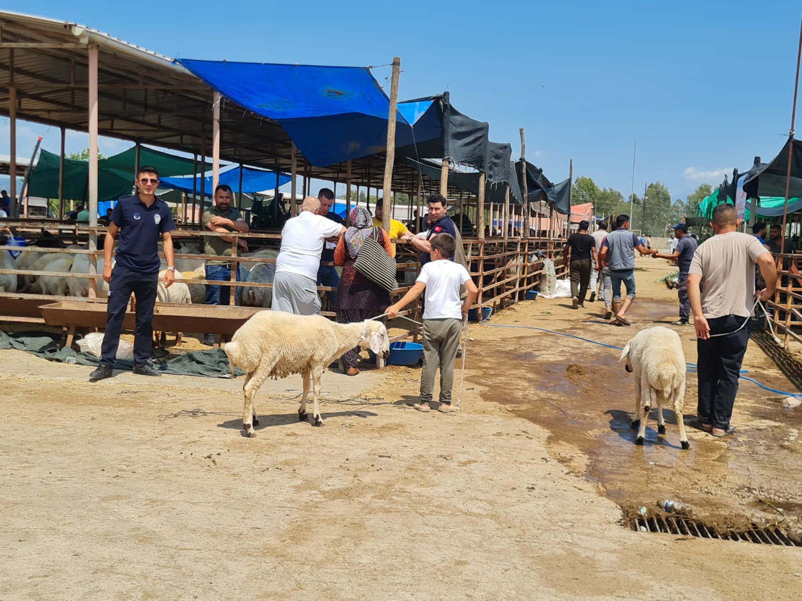 Kadirli'de Canlı Hayvan Pazarı Geçici Olarak Kapatıldı