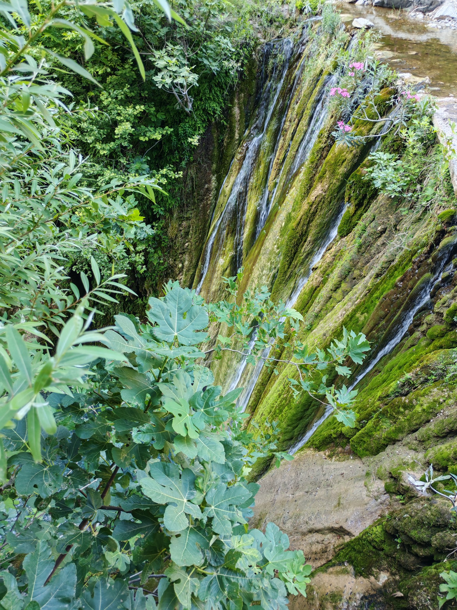 Karasu Şelalesi Doğaseverleri Büyülüyor (5)-1