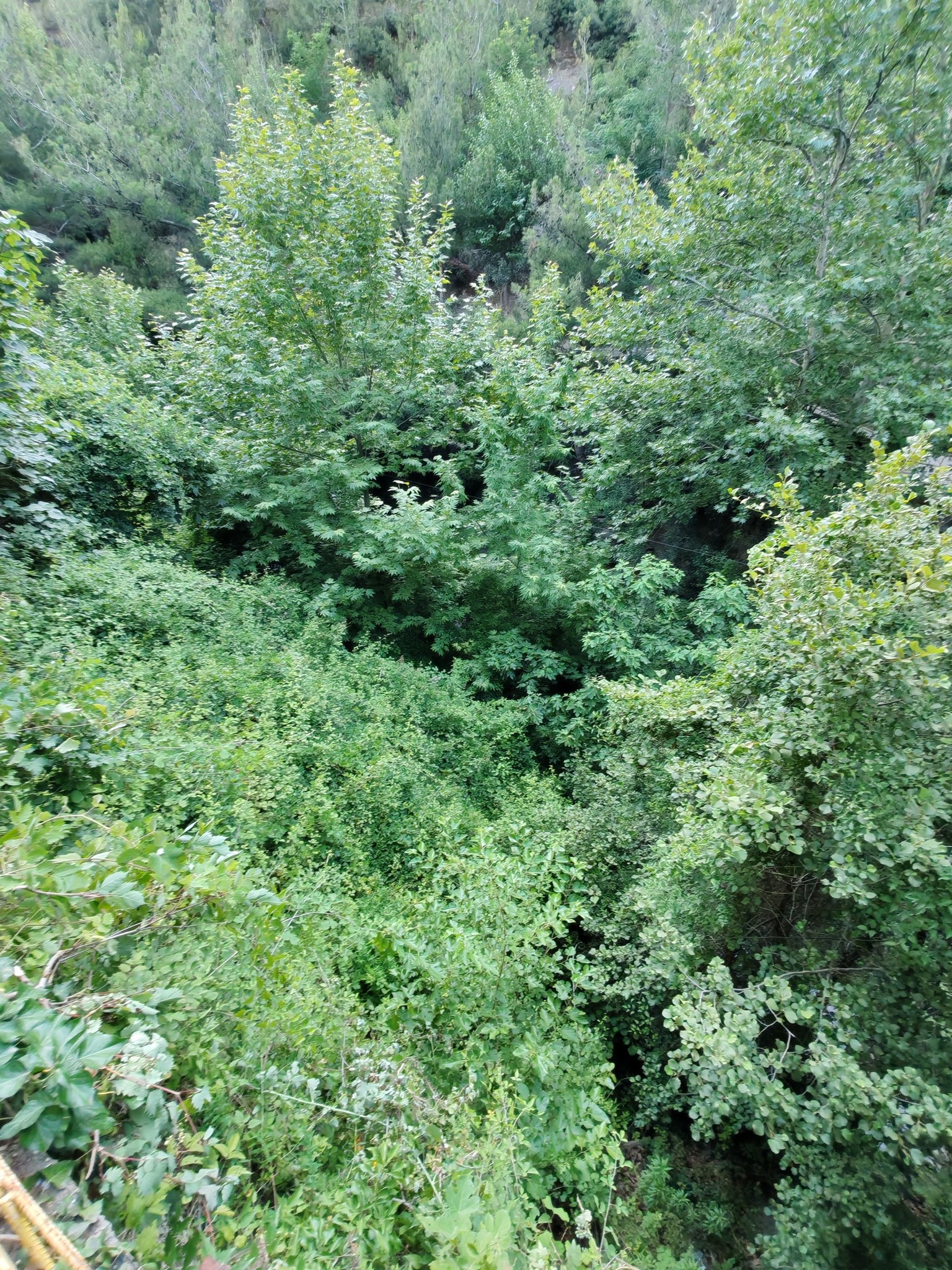 Karasu Şelalesi Doğaseverleri Büyülüyor (7)