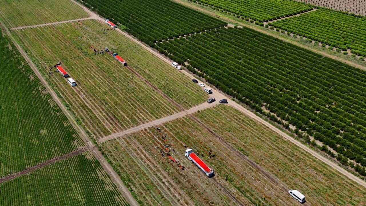 Kilosu Tarlada 3 Liraya Düştü1