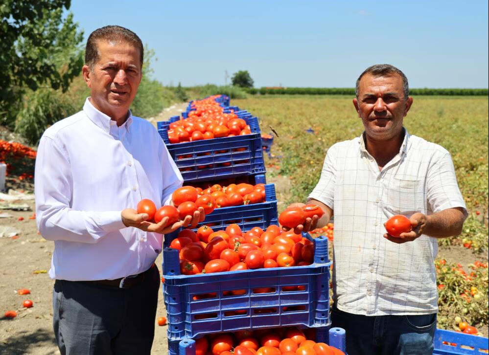 Kilosu Tarlada 3 Liraya Düştü4