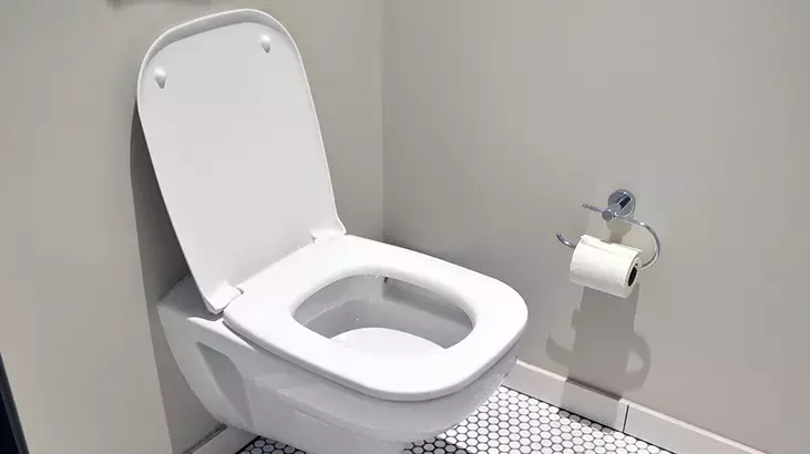 Klozet Temizliği 4