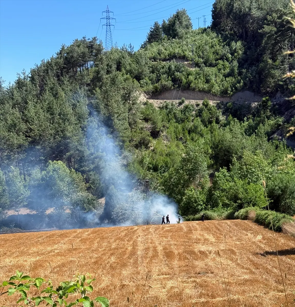 Kozan Yangın
