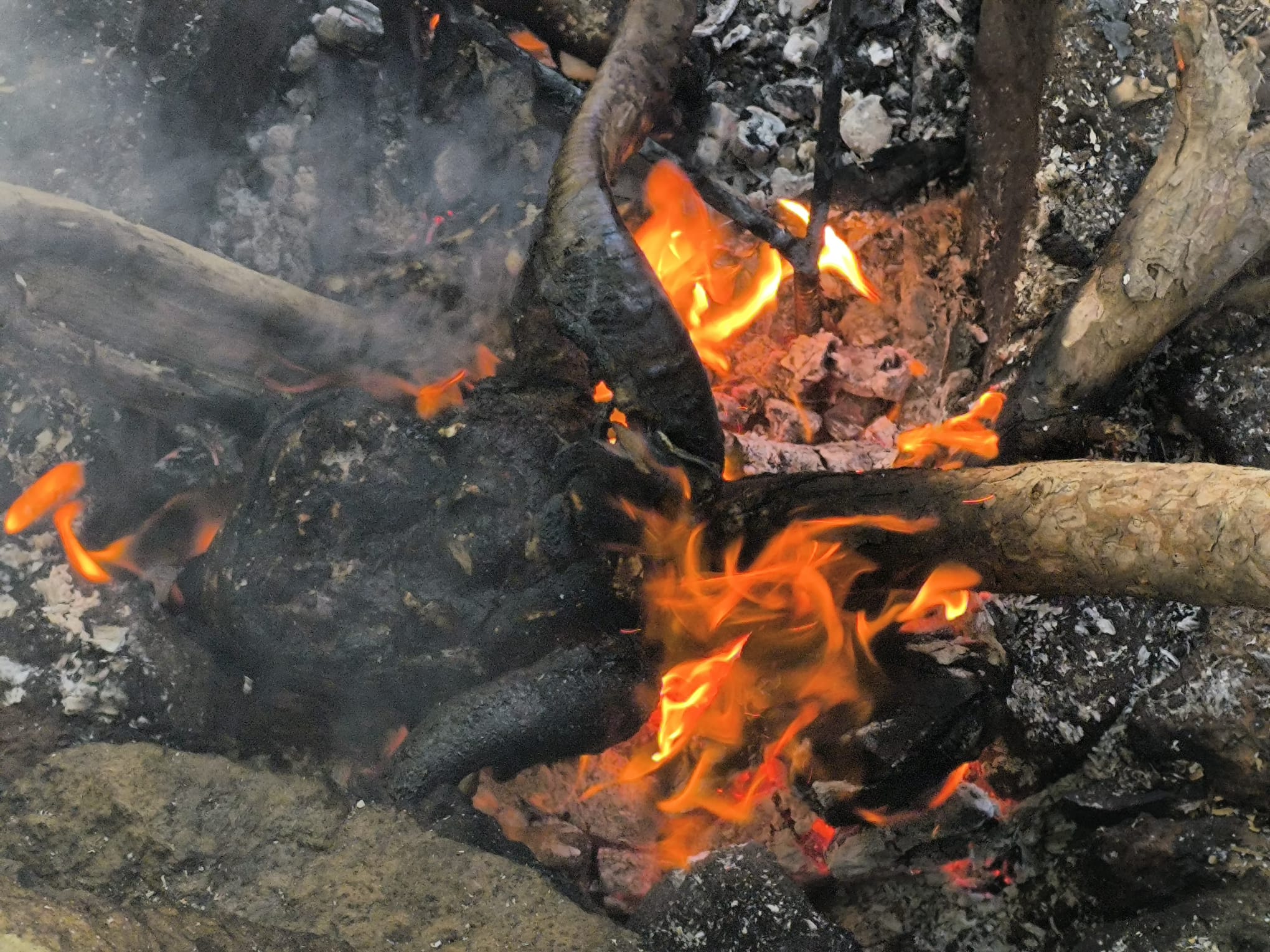 Osmaniye'de Kelle Ütüleme Geleneği Yaşatılıyor (7)