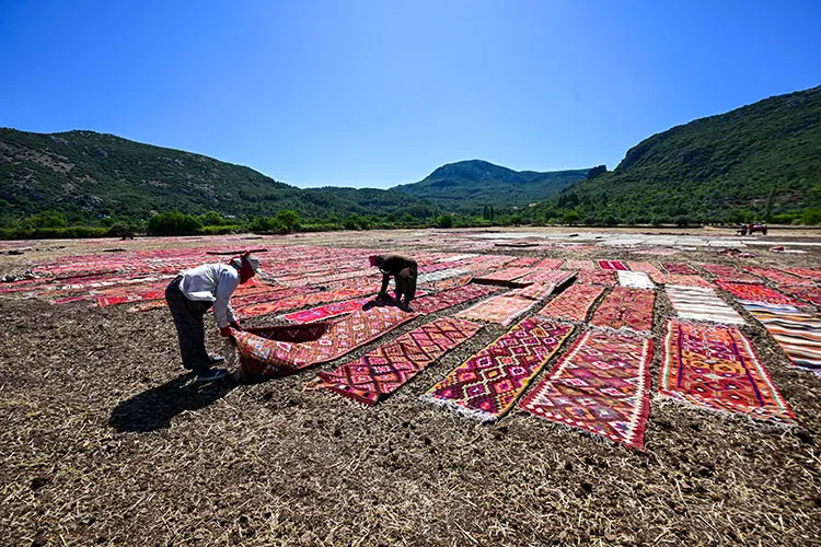 Antalya Halılar Seranat