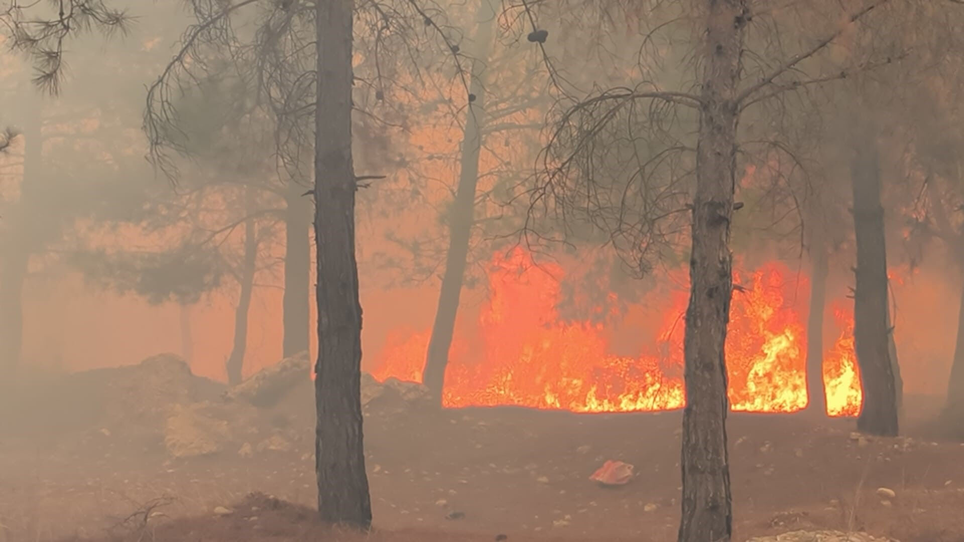 Antalya'da Yangın3