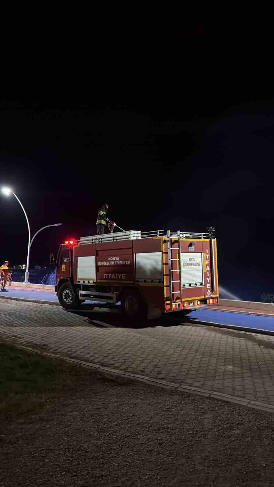 Beyşehir Gölü Kenarında Yangın Paniği (1)