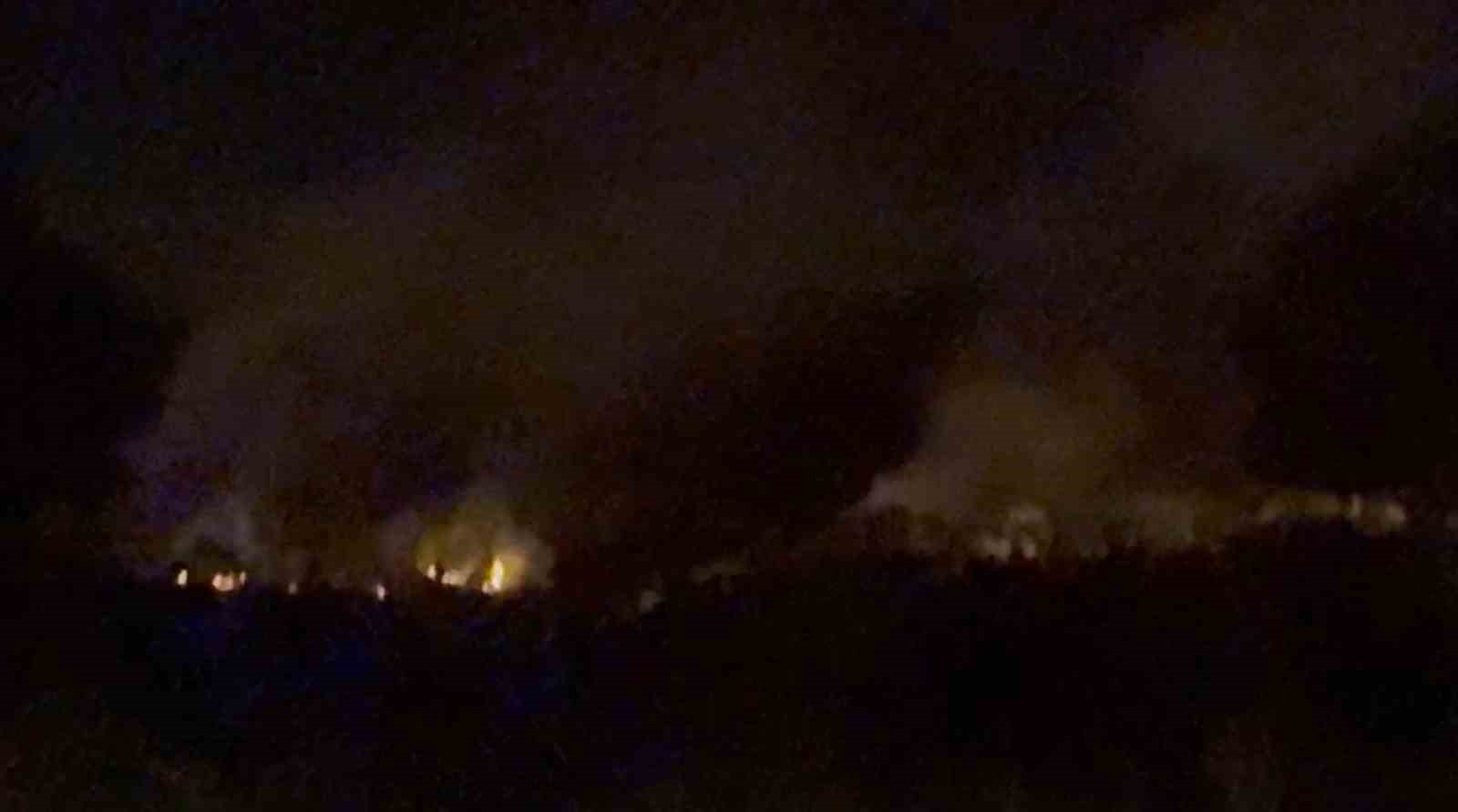 Bilecik’te Orman Yangını Büyüyor Ekin Tarlasında Başladı, Ormana Sıçradı (1)