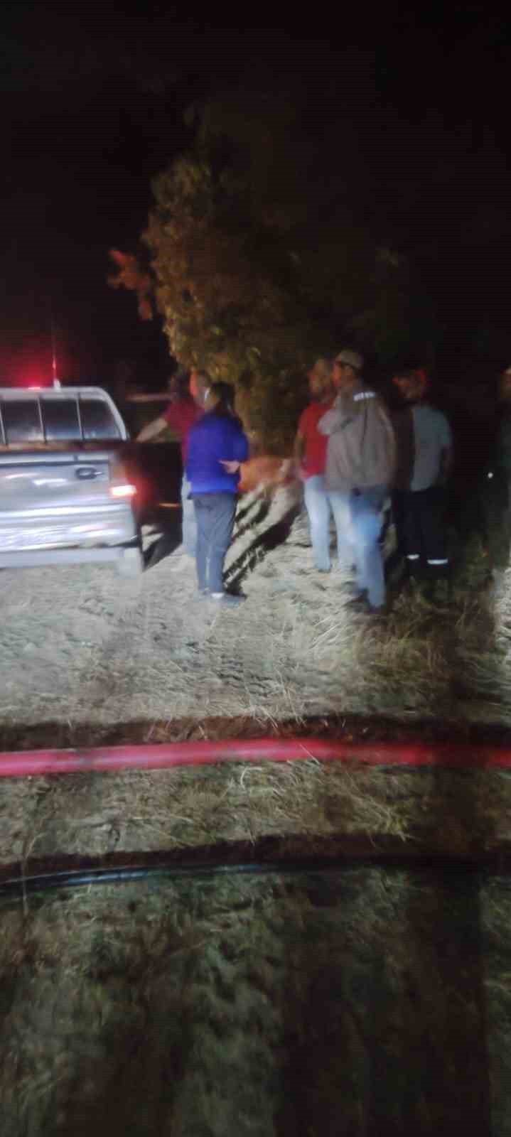 Bilecik’te Orman Yangını Büyüyor Ekin Tarlasında Başladı, Ormana Sıçradı (2)