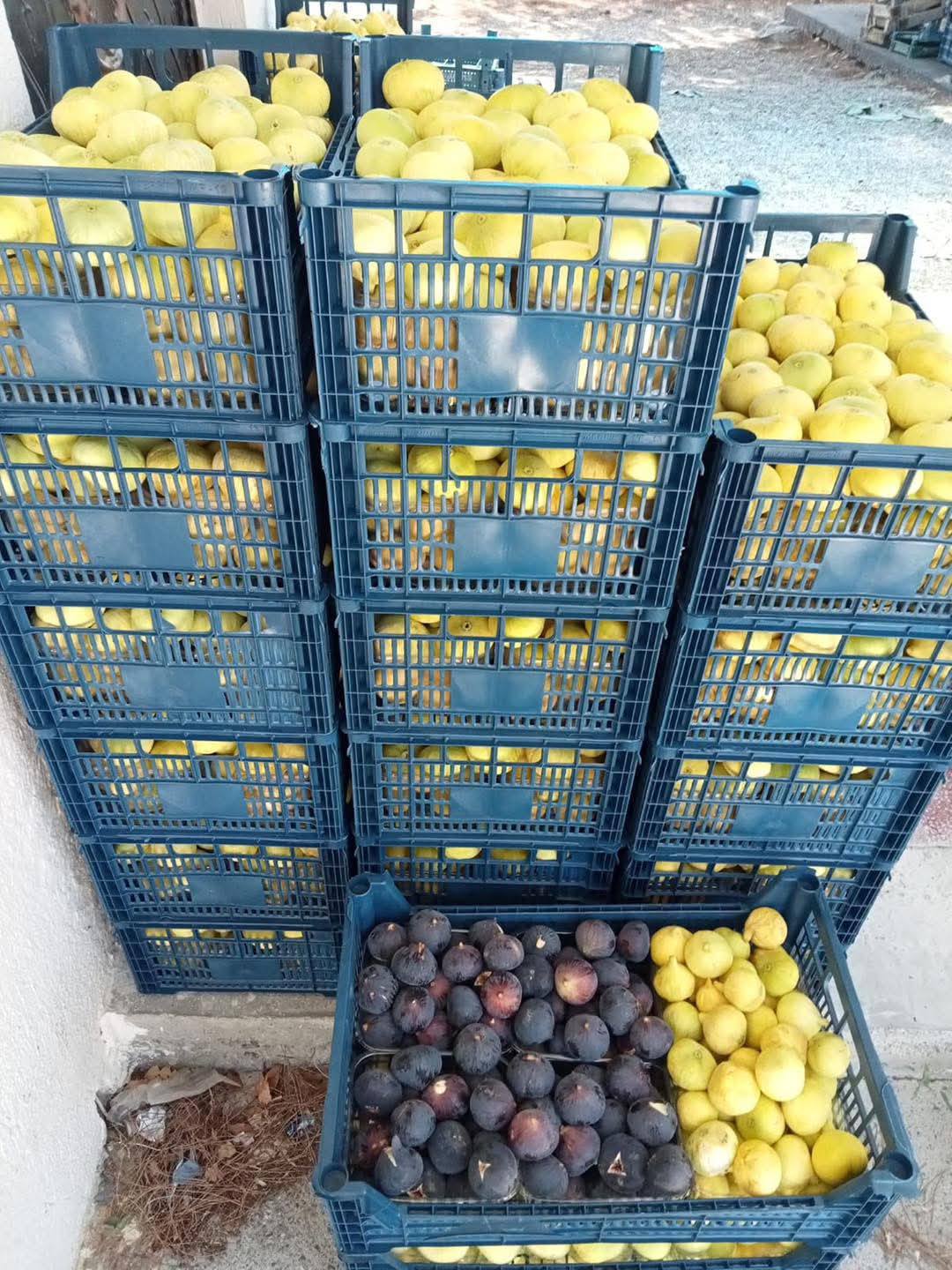 Doğadaki Mucizevi4
