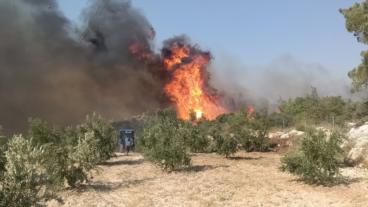 Güncelleme Mersin'in Silifke Ilçesinde Çıkan Orman Yangınına Müdahale Ediliyor