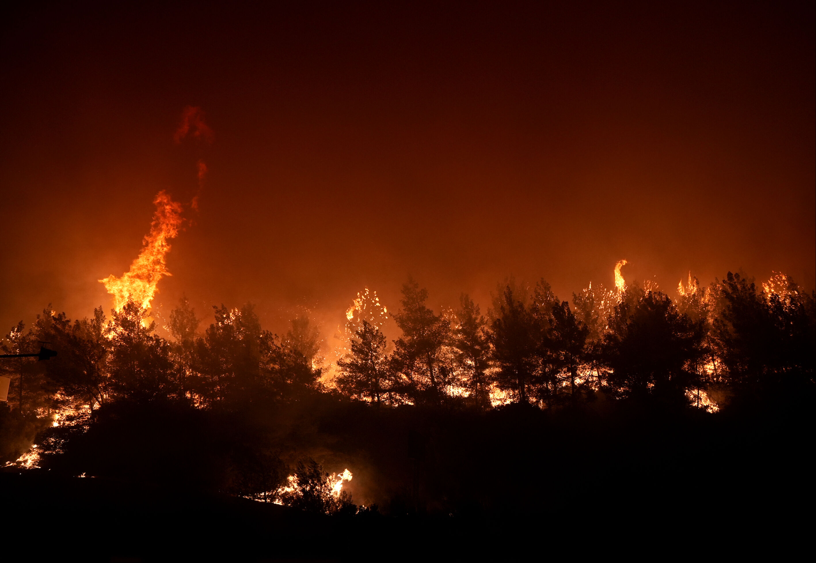 İçişleri Bakanı Ali Yerlikaya4