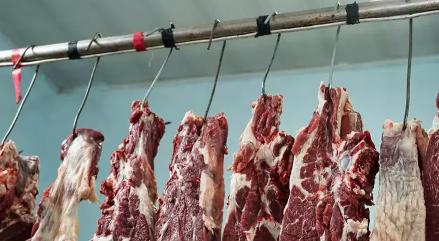 Kırmızı Et Üreticileri