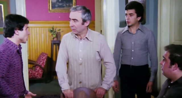 Neşeli Günler2