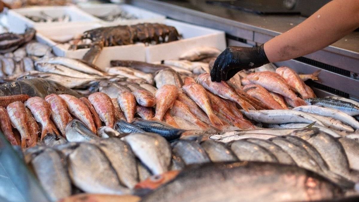 Osmaniye’de Balık Tüketimi Arttı2