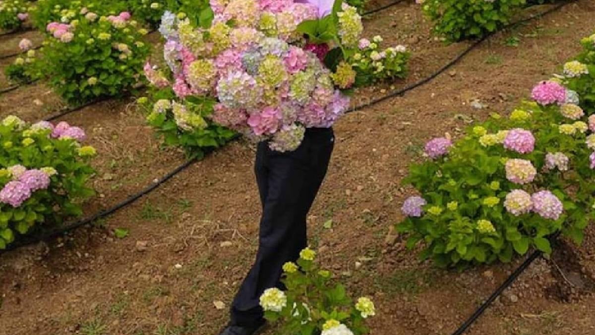 Osmaniye’de Bu Çiçek Bahçeyi Koruyor2