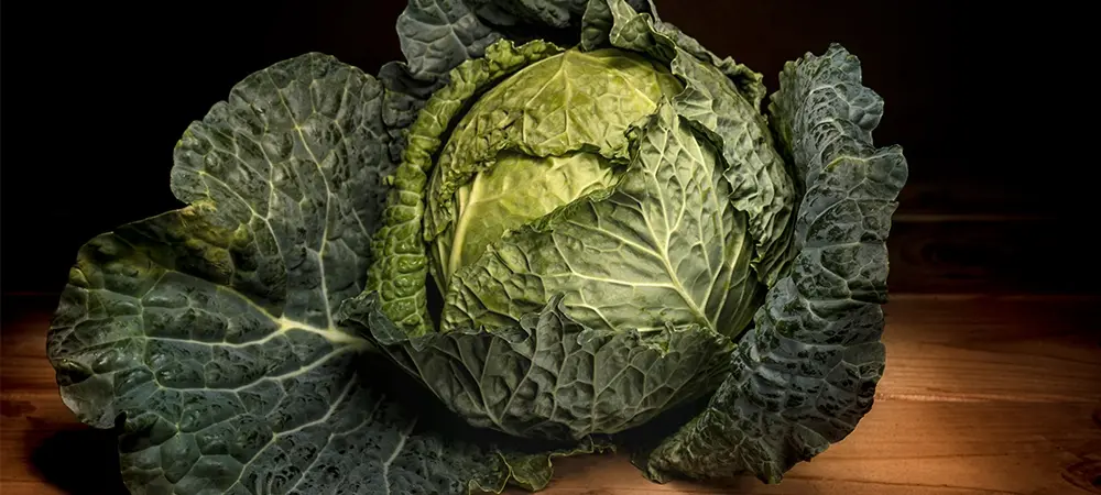 Osmaniye’de Karalahana Tüketimi Artıyor