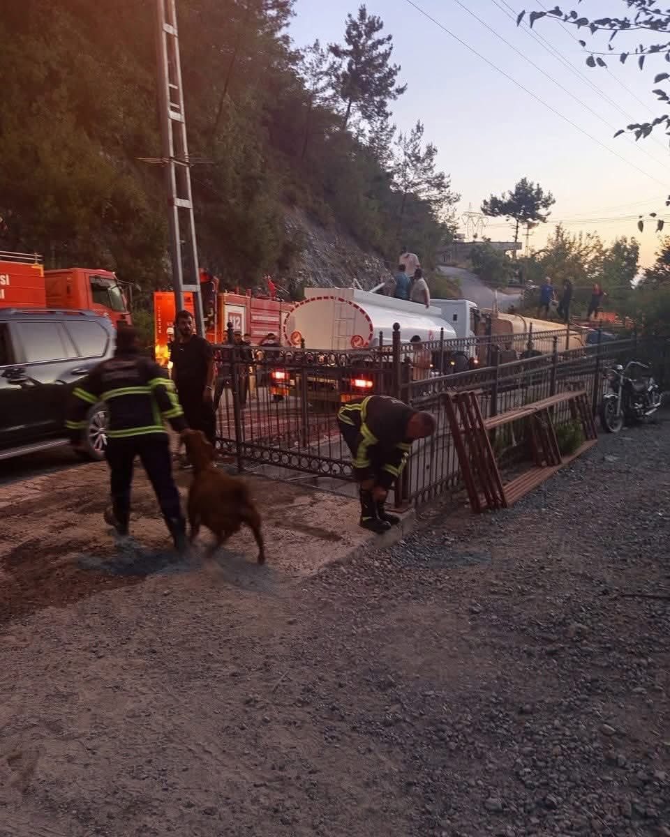 Payas’ta Üç Yaylaya Giriş Çıkış Yasaklandı (1)