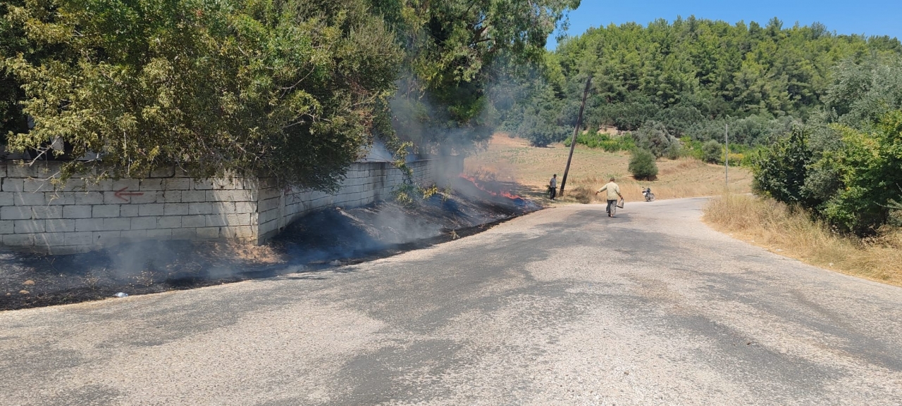 Serik'te Otluk Bölgeden Ziraat Alanına Sıçrayan Yangın Söndürüldü