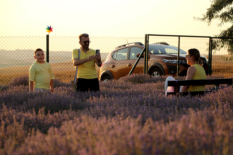 Tekirdağ, Artan Lavanta6