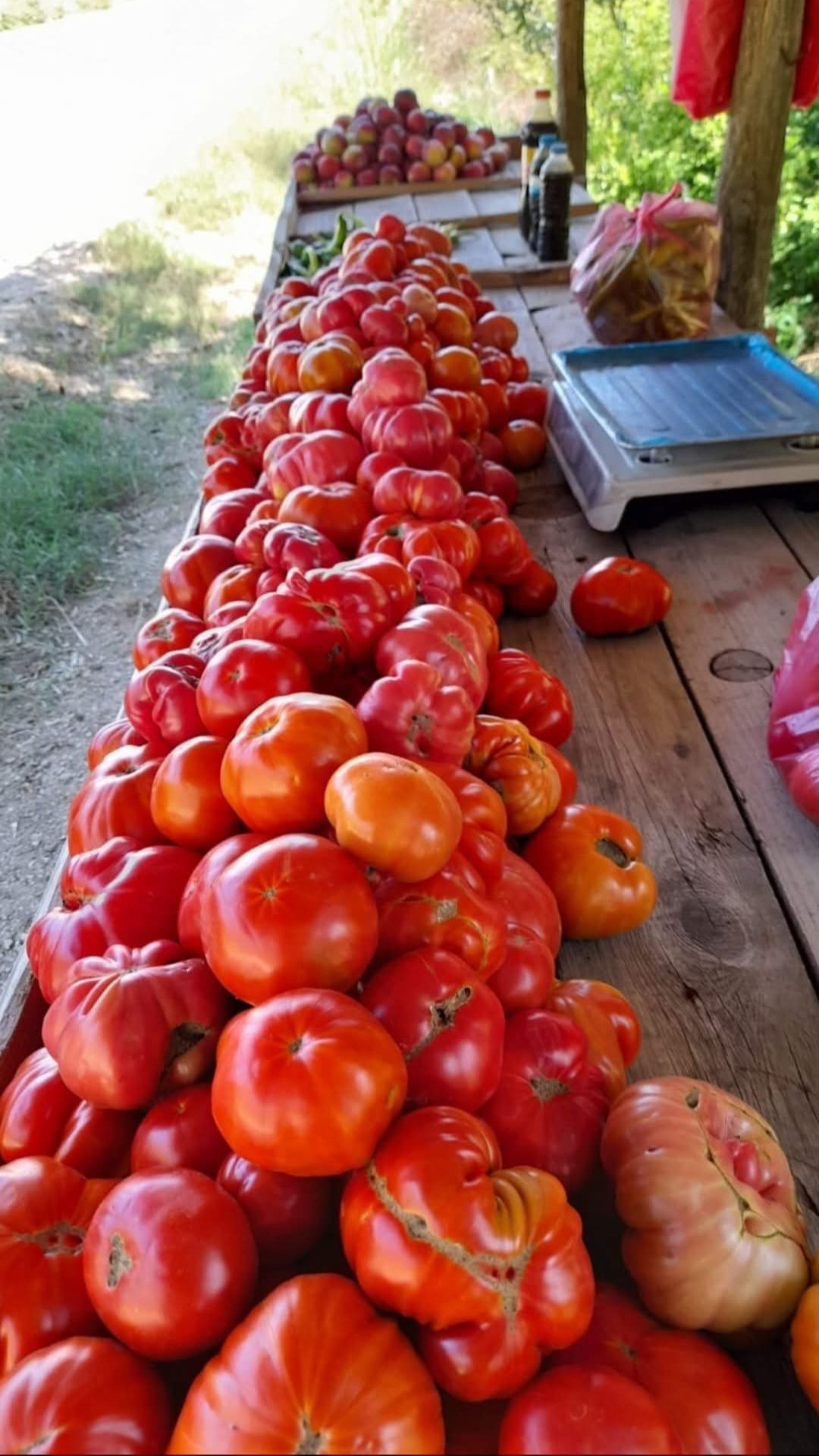 Toros Eteklerinden Sofralara Doğal Lezzet