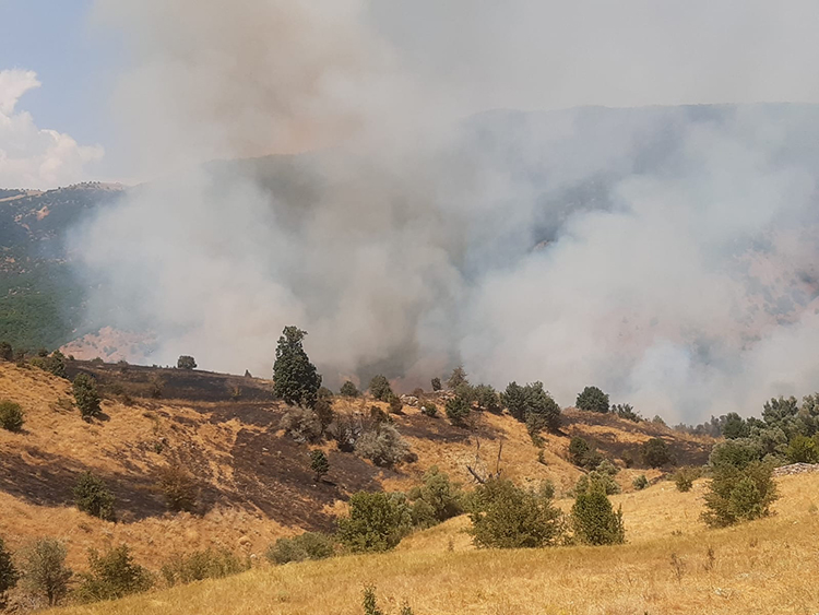 Yurdun Dört Bir Yanında Yangın Alarmı10