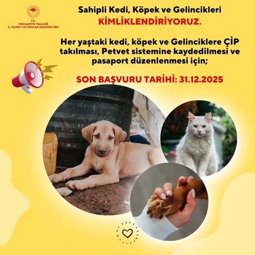 533086004 1059427129698254 1586661965340623836 N