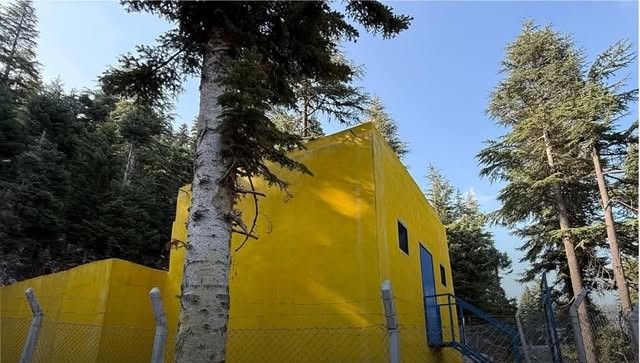 Kadirli Maksutoğlu Yaylası