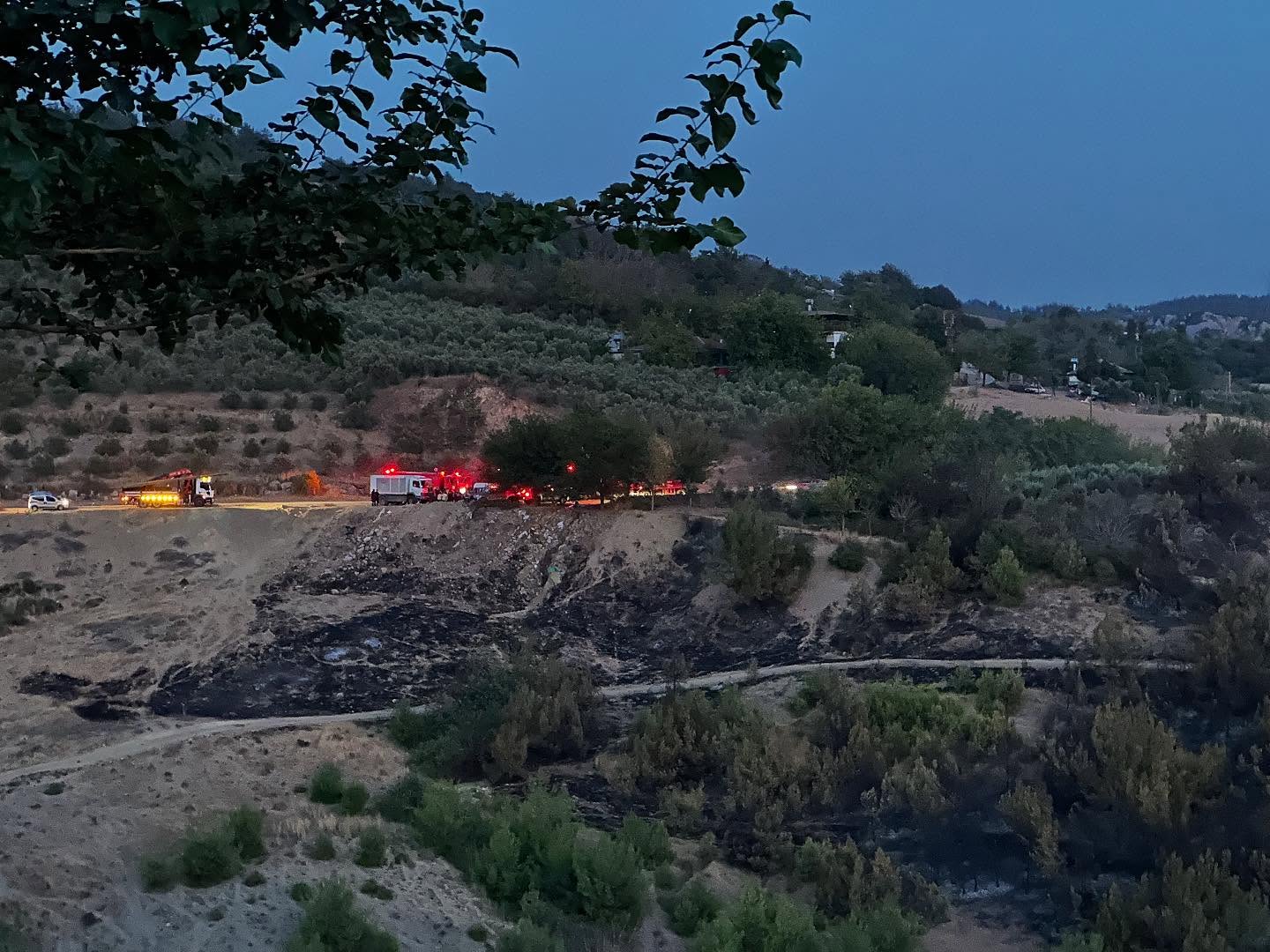 Akçakoyunlu Yangınında 145 Kişilik Dev Ekip Seferber Oldu (1)