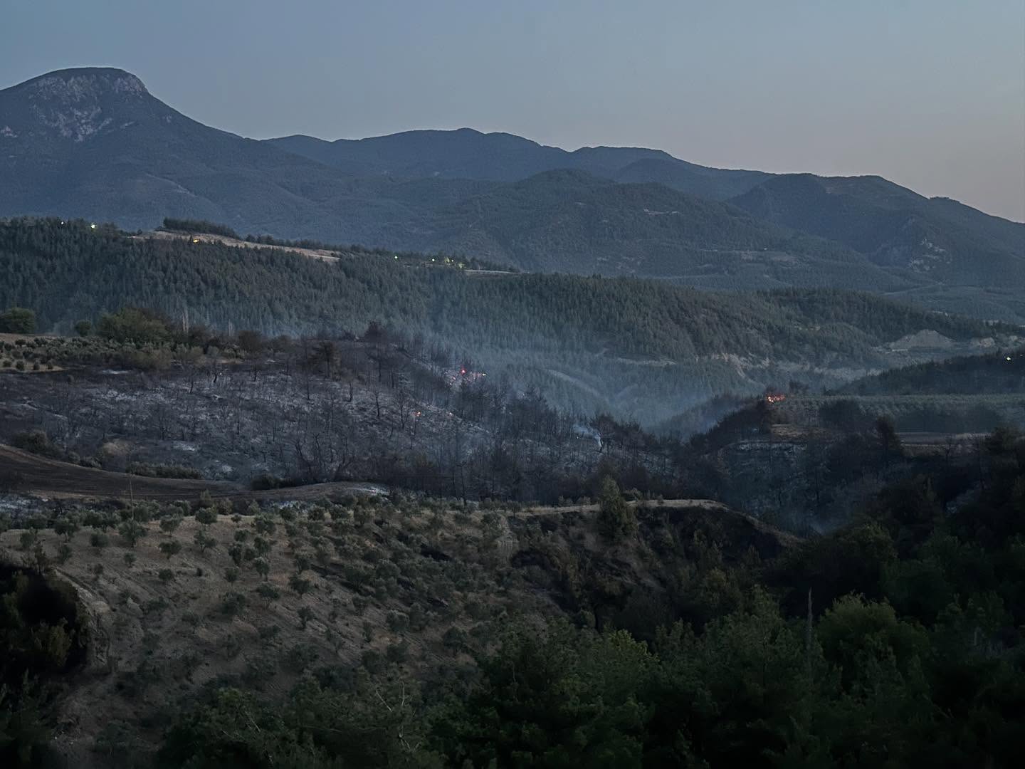 Akçakoyunlu Yangınında 145 Kişilik Dev Ekip Seferber Oldu (3)