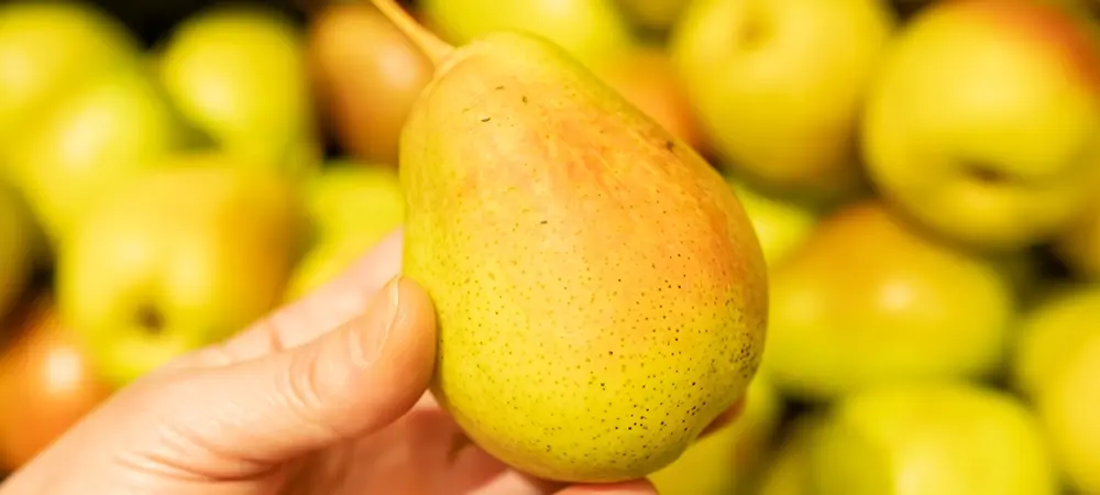 Armutun Neye Faydası Var