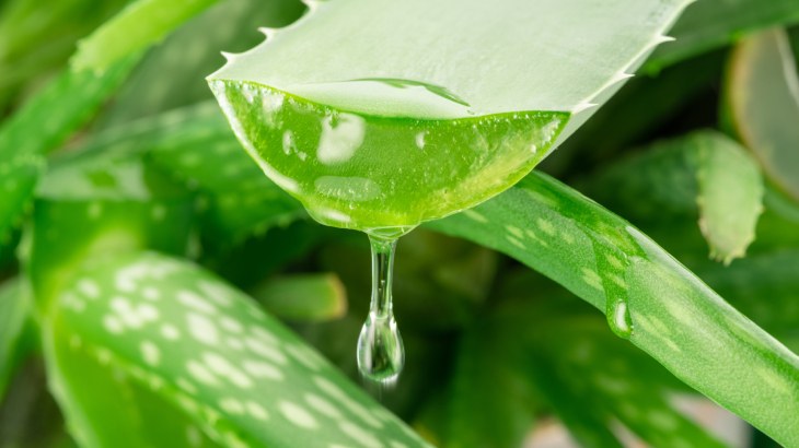 Basura Ne İyi Gelir4