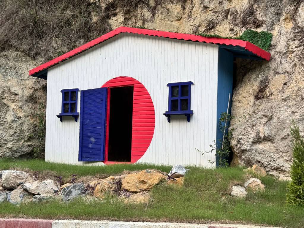 Beşikgöl Mesire Alanı (3)