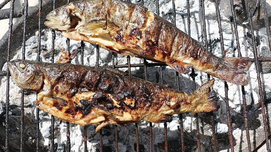 Boğaza Kaçan Balık2