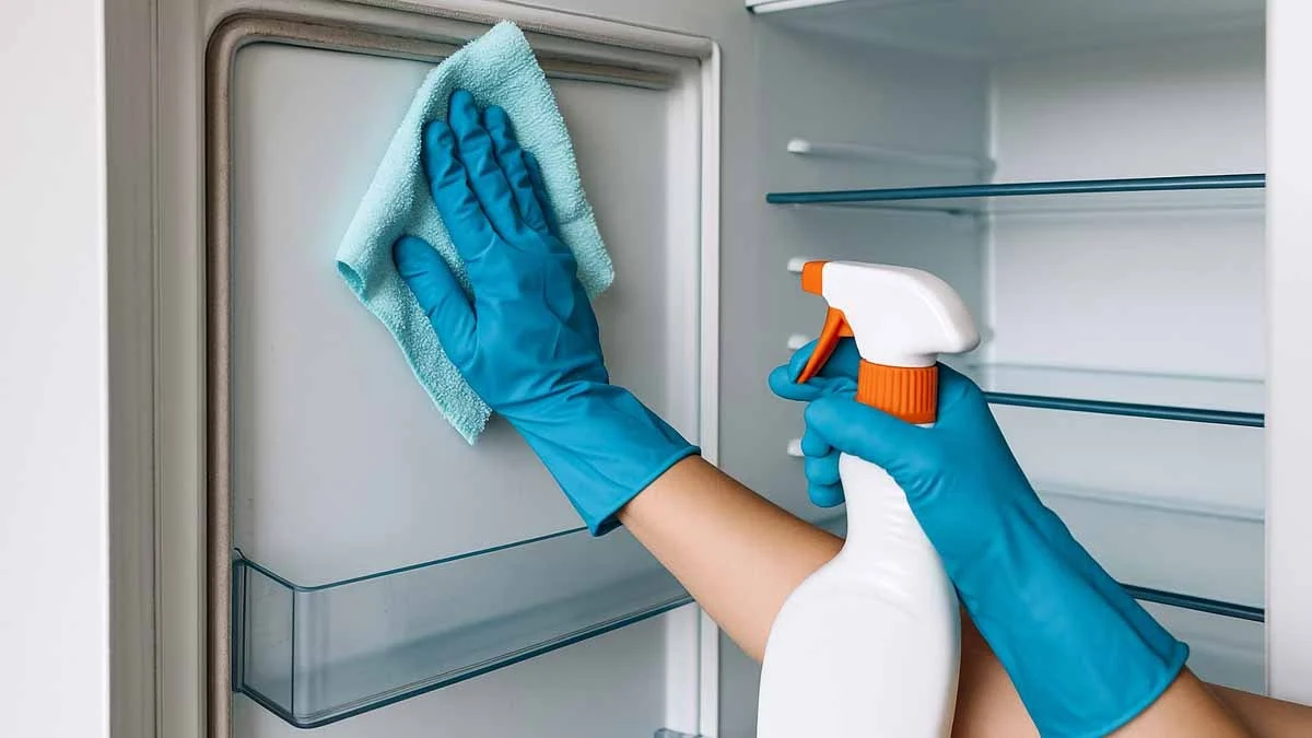 Buz Dolabı Temizlik1