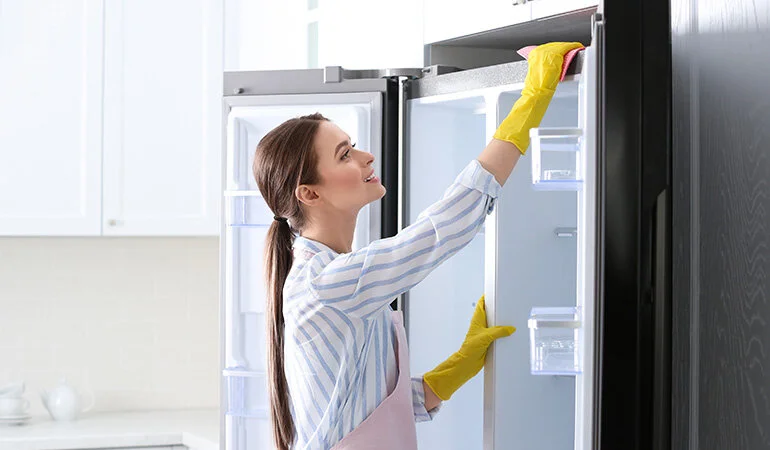 Buz Dolabı Temizlik2