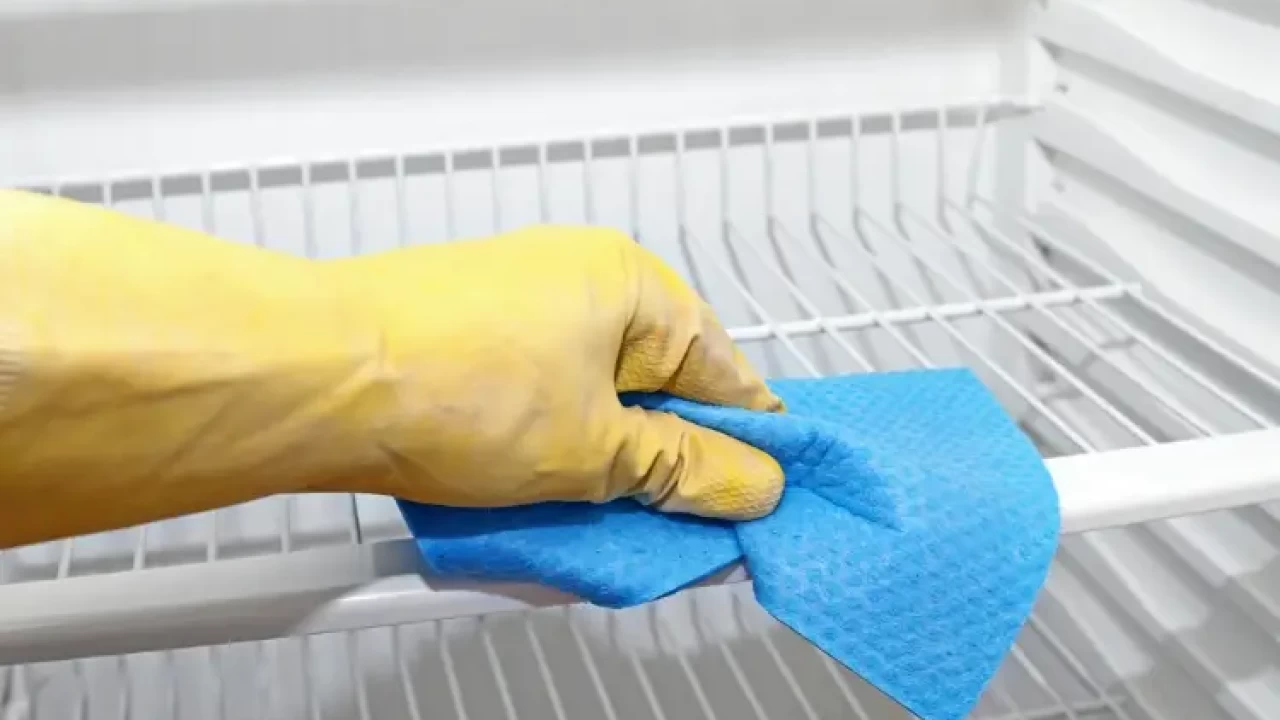 Buz Dolabı Temizlik4