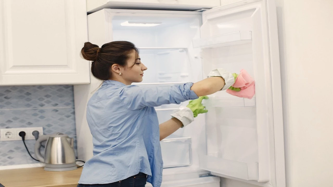 Buz Dolabı Temizlik7