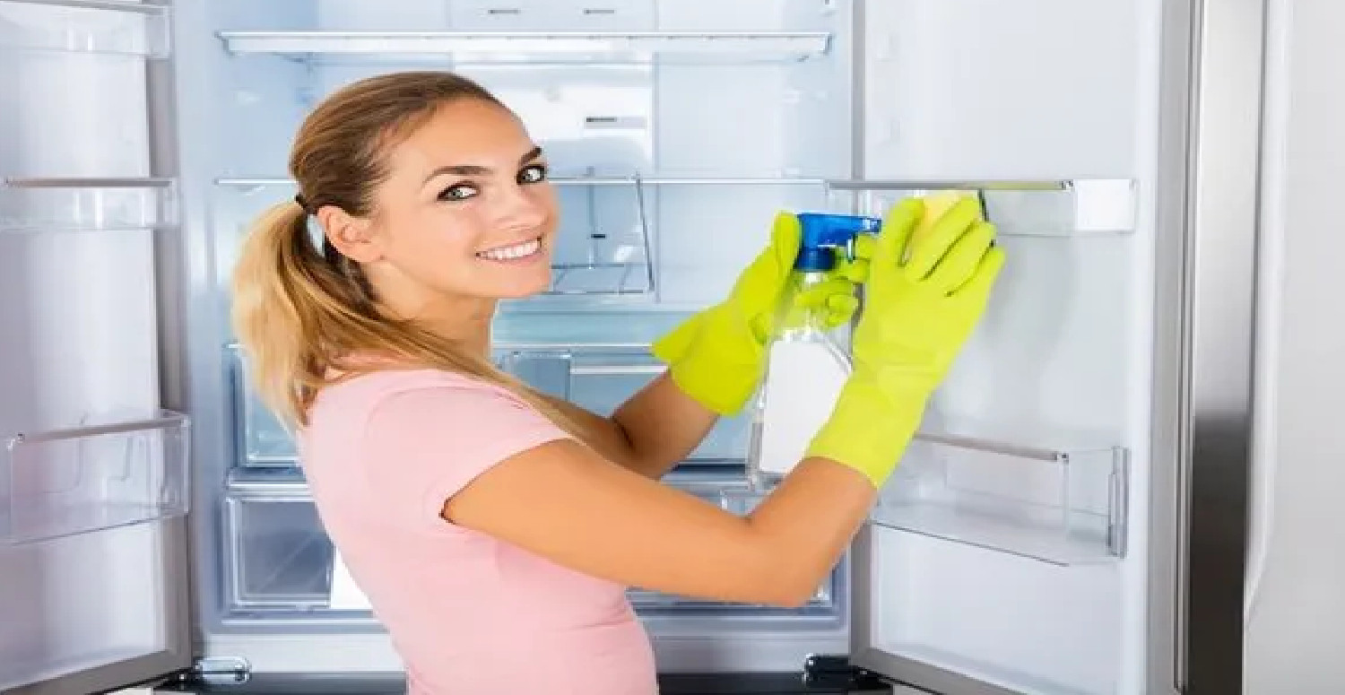 Buz Dolabı Temizlik8