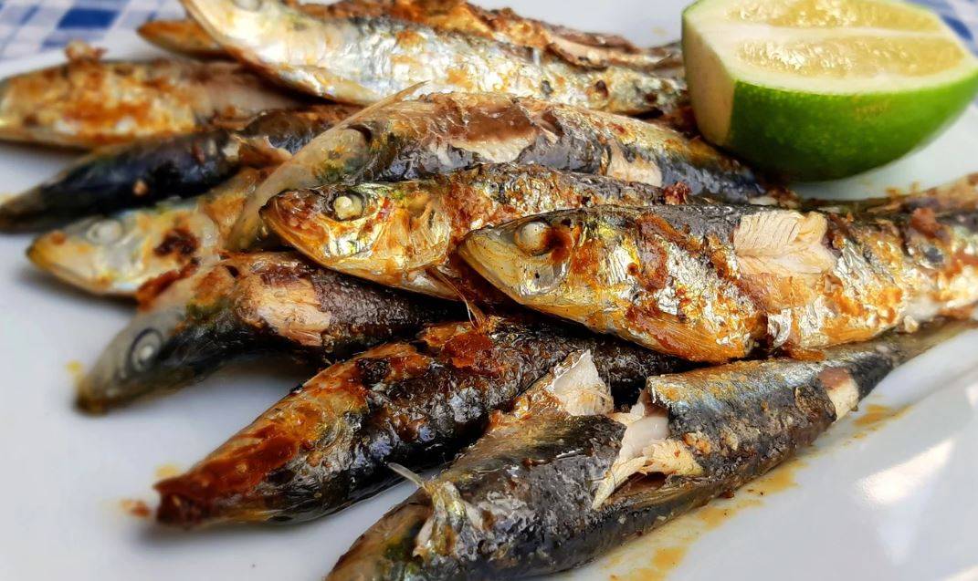 Çanakkale Mutfağının Vazgeçilmez Lezzetleri2