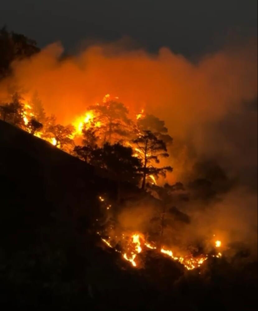 Denizli Aydın Sınırındaki Orman Yangını Kontrol Altında2