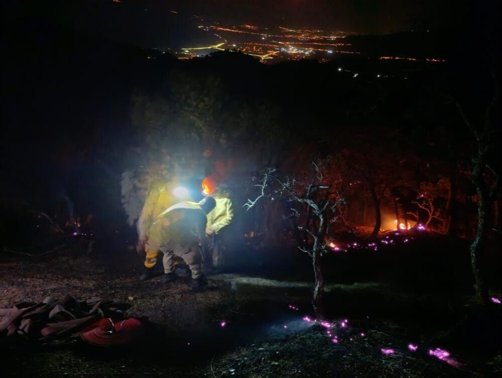 Denizli Aydın Sınırındaki Orman Yangını Kontrol Altında3