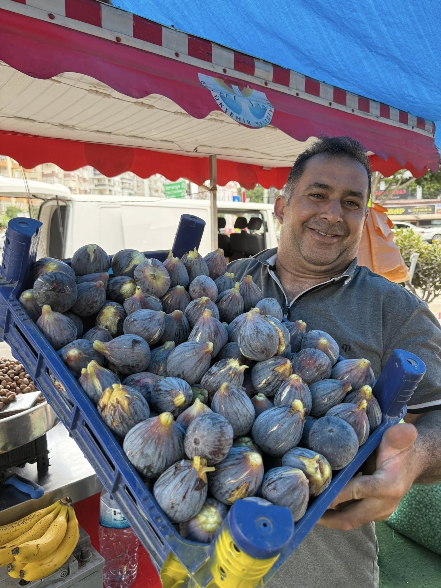Dikenli Mi Dikensiz Mi Adana’nın İncir Tercihi (1)