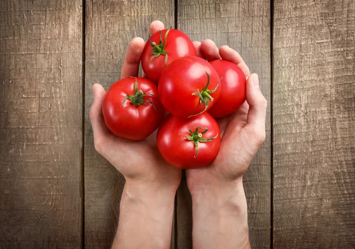 Dondur Ve Kışa Sakla