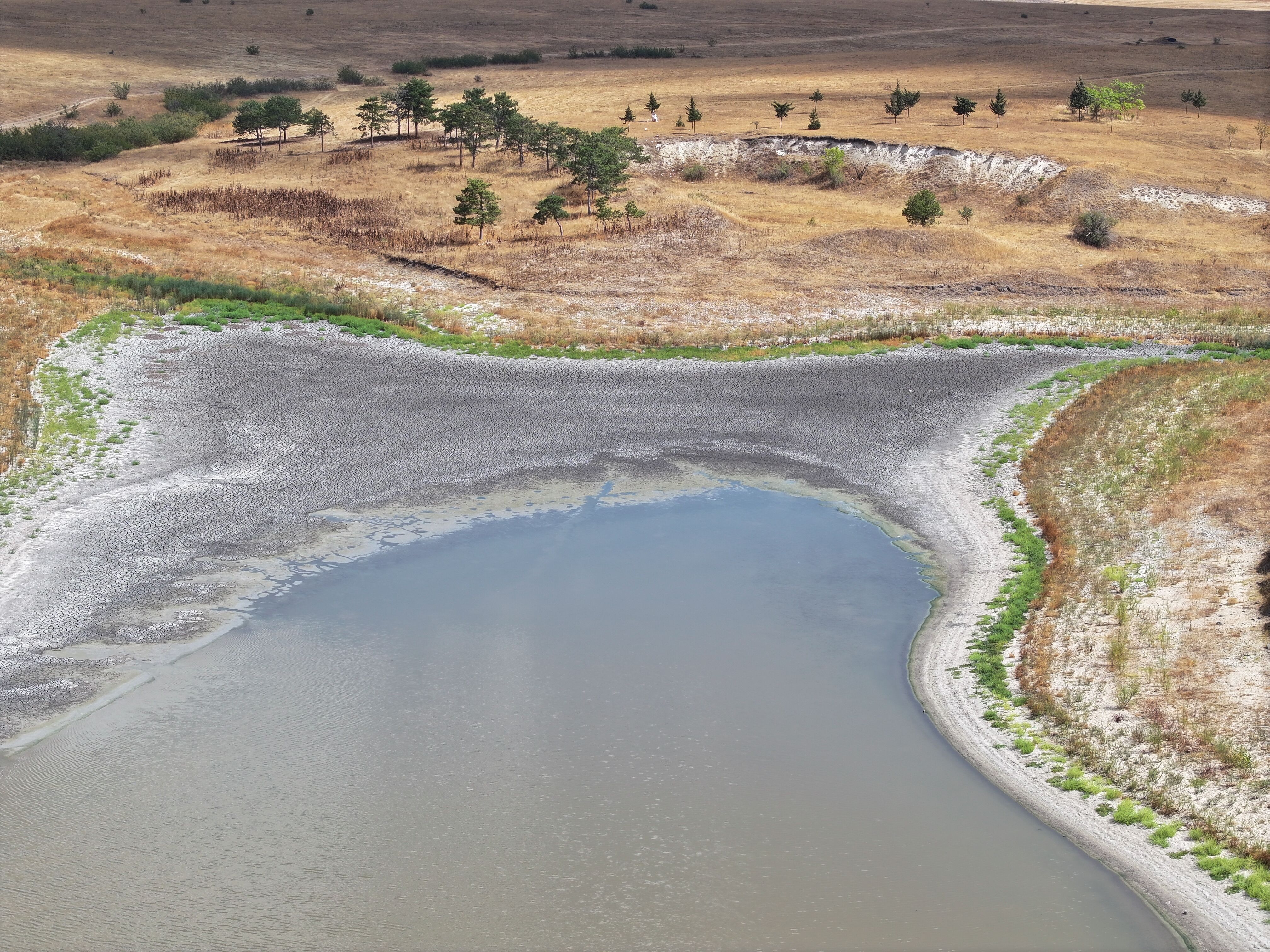 Edirne'deki Demirhanlı Göleti'nin Suyu Kuraklık Nedeniyle Tükenmek Üzere