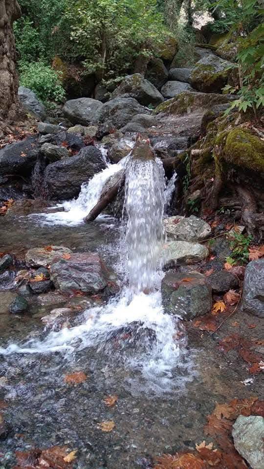 Fenk Yaylası’nda Doğal Güzellik Ümmetlerin Deresi4