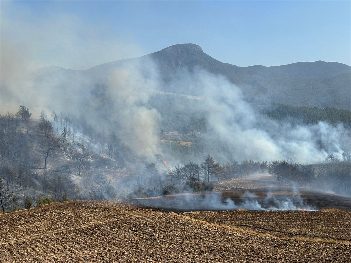 Güncelleme Osmaniye'de Orman Yangını Çıktı